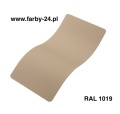 RAL 1019.jpg