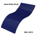 RAL 5013.jpg
