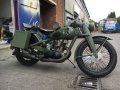 RAL 6003 9.jpg