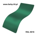 RAL 6016.jpg