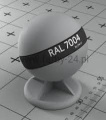 RAL 7004 2MAT.jpg