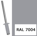 RAL 7004 9MAT.jpg