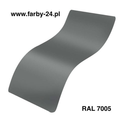 RAL 7005.jpg