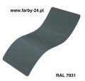RAL 7031.jpg