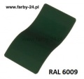 ral 6009.jpg