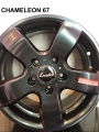 CHAMELEON 67 .jpg