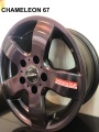 CHAMELEON 67 2.jpg