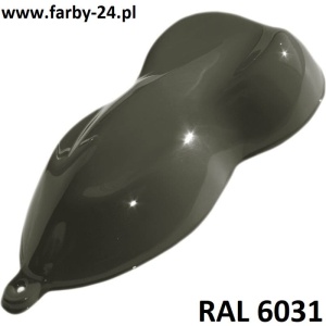 RAL 6031 Polyester Powder Paint Color Military Green Gloss P/S1/U/P5625/8-330 Minimum 20 kg