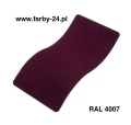RAL 4007.jpg
