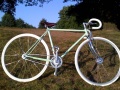 RAL 6019 5.jpg