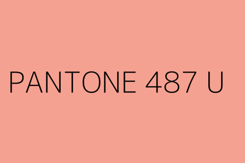 PANTONE 487 U.jpg