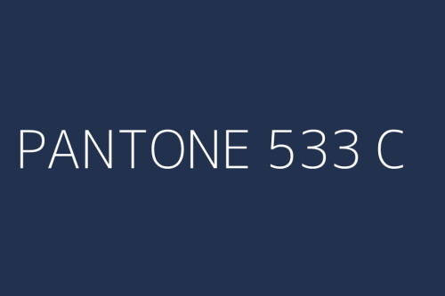 PANTONE 533 C.jpg