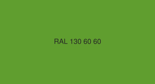 RAL 130-60-60.png