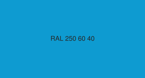 RAL 250-60-40.png