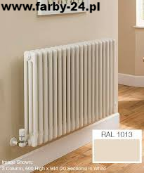 RAL 1013 Polyester Powder Coating Color Oyster White Smooth Gloss P/S1/U/1013/2-300 Minimum 1 kg