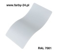 RAL 7001.jpg
