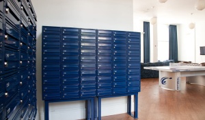 RAL 5003 Polyester Powder Coating Color Sapphire Blue Smooth Gloss P/S1/U/5003/2-314 Minimum 1 kg