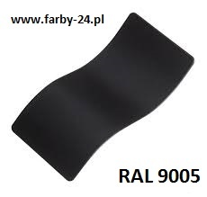 RAL 9005 CSX.jpg
