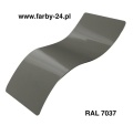 RAL 7037.jpg