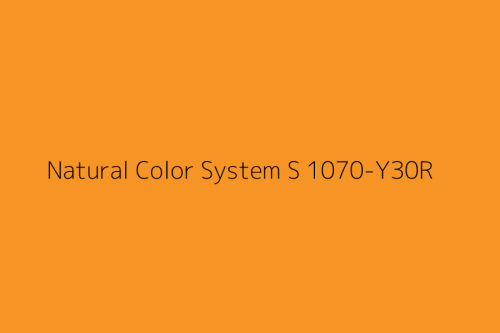 NCS S 1070-Y30R.jpg