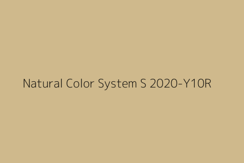 NCS S 2020-Y10R.jpg
