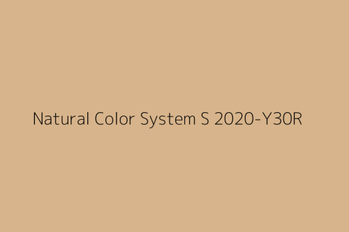 NCS S 2020-Y30R.jpg
