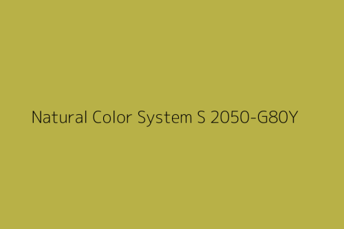 NCS S 2050-G80Y.jpg