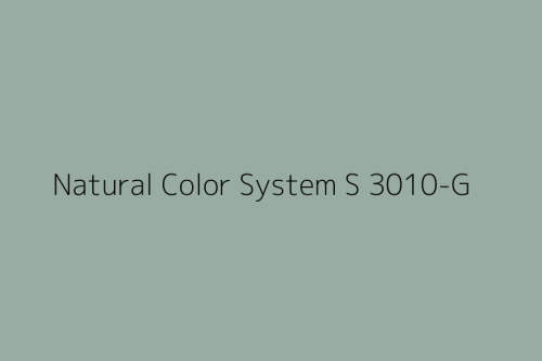NCS S 3010-G.jpg