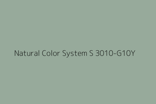 NCS S 3010-G10Y.jpg