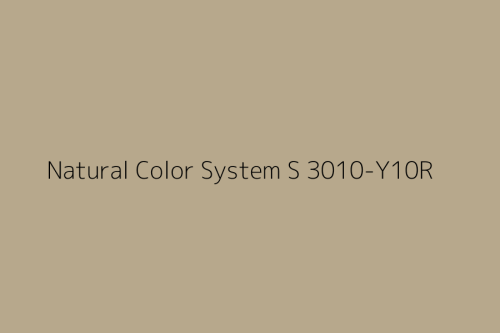 NCS S 3010-Y10R.jpg