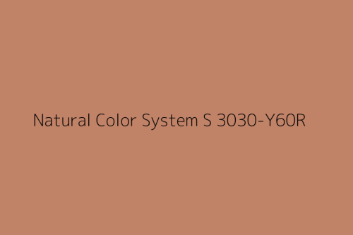 NCS S 3030-Y60R.jpg