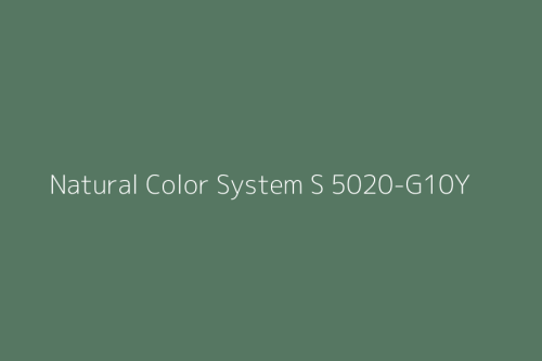NCS S 5020-G10Y.jpg