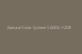 NCS S 6005-Y20R.jpg