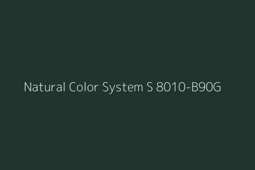 NCS S 8010-B90G.jpg