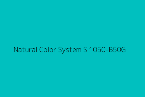 NCS S 1050-B50G.jpg