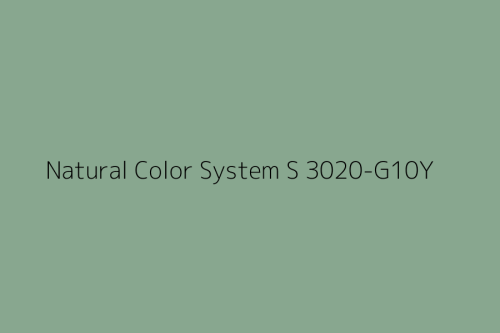NCS S 3020-G10Y.jpg