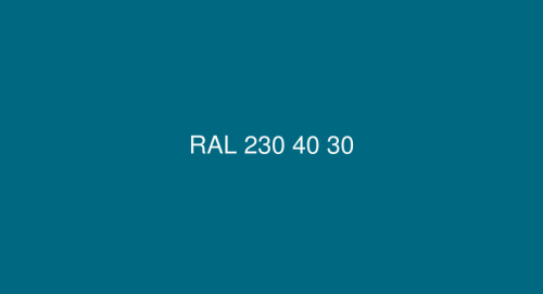 RAL 230 40 30.png