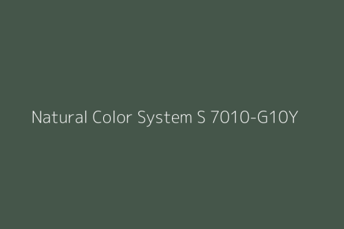 NCS S 7010-G10Y.jpg