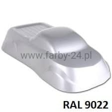 RAL 9022.jpg