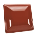 RAL 3009 1.jpg