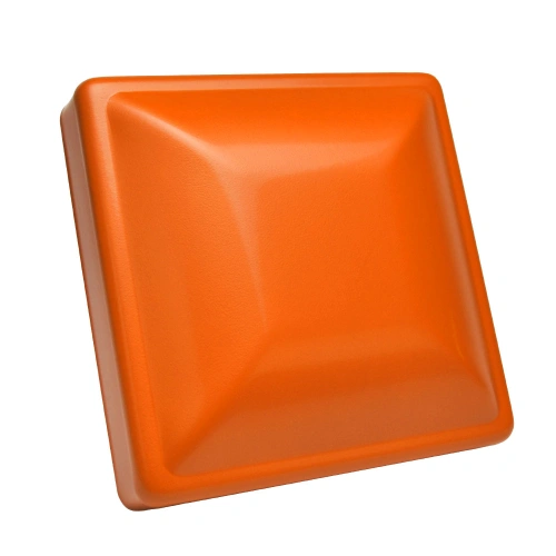 RAL 2009 MAT.jpg