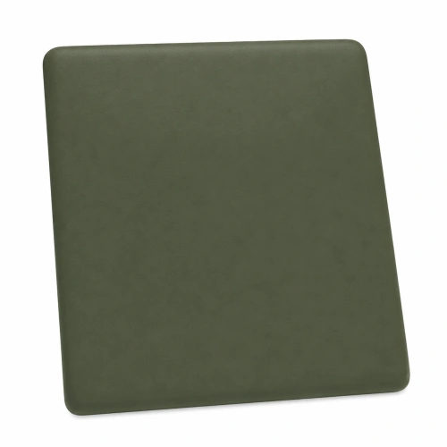 RAL 6006 MAT.png