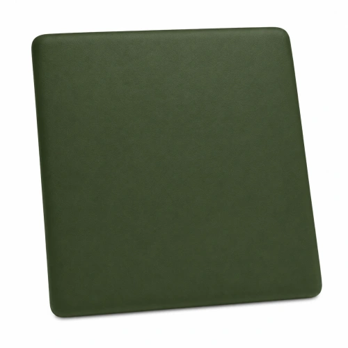 RAL 6009 MAT.png