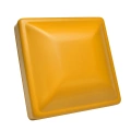 RAL 1007 MAT.jpg