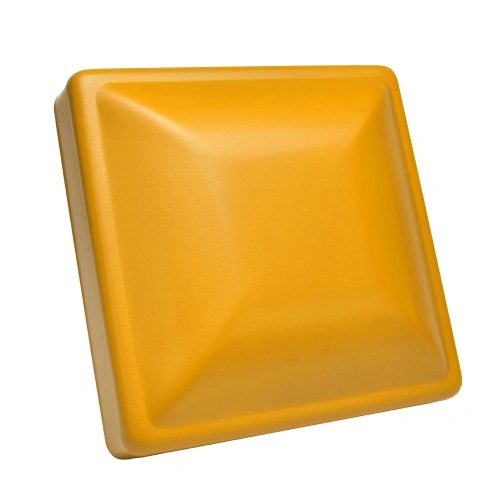 RAL 1007 MAT.jpg