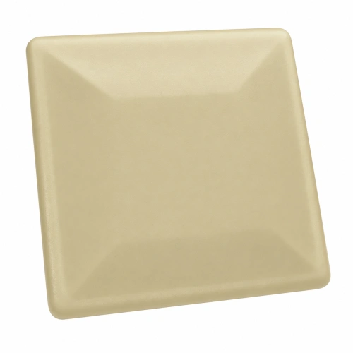 RAL 1001 MAT.png